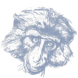 Strichzeichnung