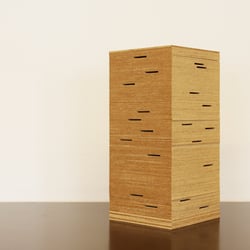 Model