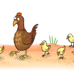 Huhn, Küken
