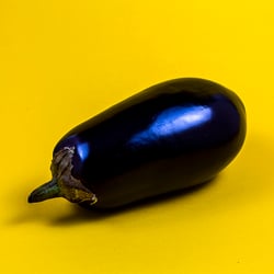 Abschlussarbeit Fotodesign