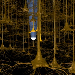 Neurozyten mit Elektrode