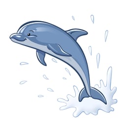 Delfin