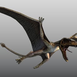 Dimorphodon wire