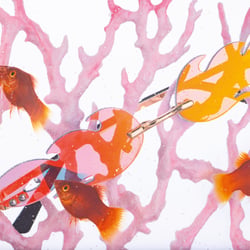 Life is a Aquarium