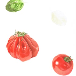 Tomaten