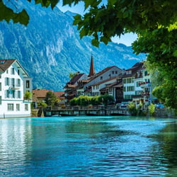 Auf den Spuren des Geschmacks im Berner Oberland: Nis Stiels Bewertungen der regionalen Spezialitäten