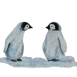 Zwei Pinguine