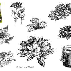 Editorial Illustrations Compact Publisher
