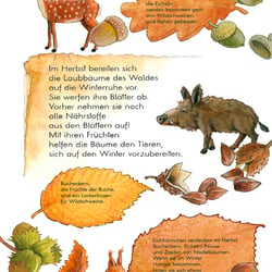 Herbstwaldseite