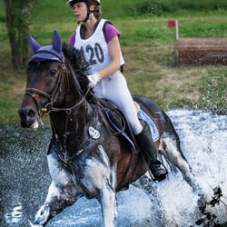 Vielseitigkeitsreiten, Weltmeisterschaft. Pferdesport .