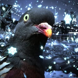 Ice Pigeon