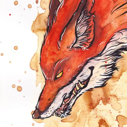 Old Fox