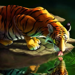 Tiger am See