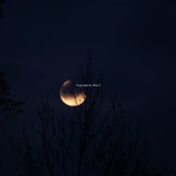 Moon Mai 2014 © by Dina.T