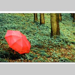 Fotografie-Natur