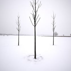 Tempelhof