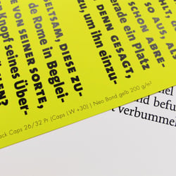 Stilübungen / Raymond Queneau