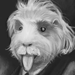 Illustration, Wolfgang Tröstler