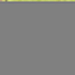 Webdesign Trechteria