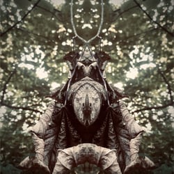 Spiegelbild