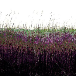 Hallig-Krimi