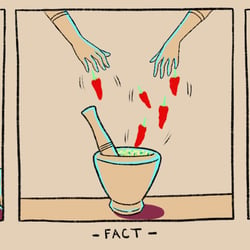 Facts, opinions and feelings: the three elements I look for