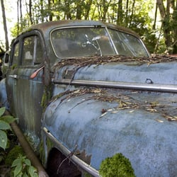 autofriedhof12
