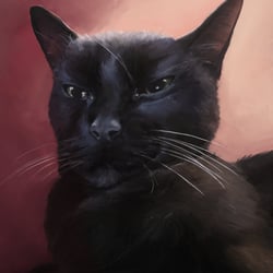 Katzenportrait 2