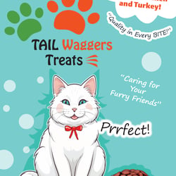 Packaging Illustration – Cat