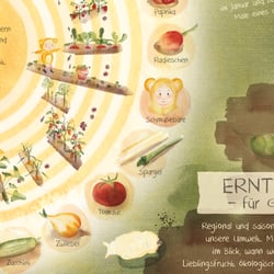 Ausschnitt des Erntekalenders