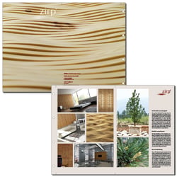 folder of „zirp“