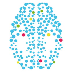 cerebr0
