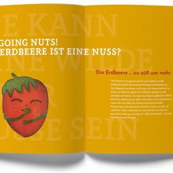 Die Erdbeere ist wirklich eine Nuss?