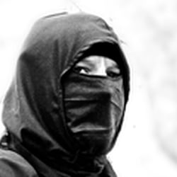 Ninja 1