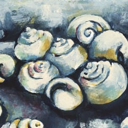 Aquarell Schneckenhäuser/ Postkarte