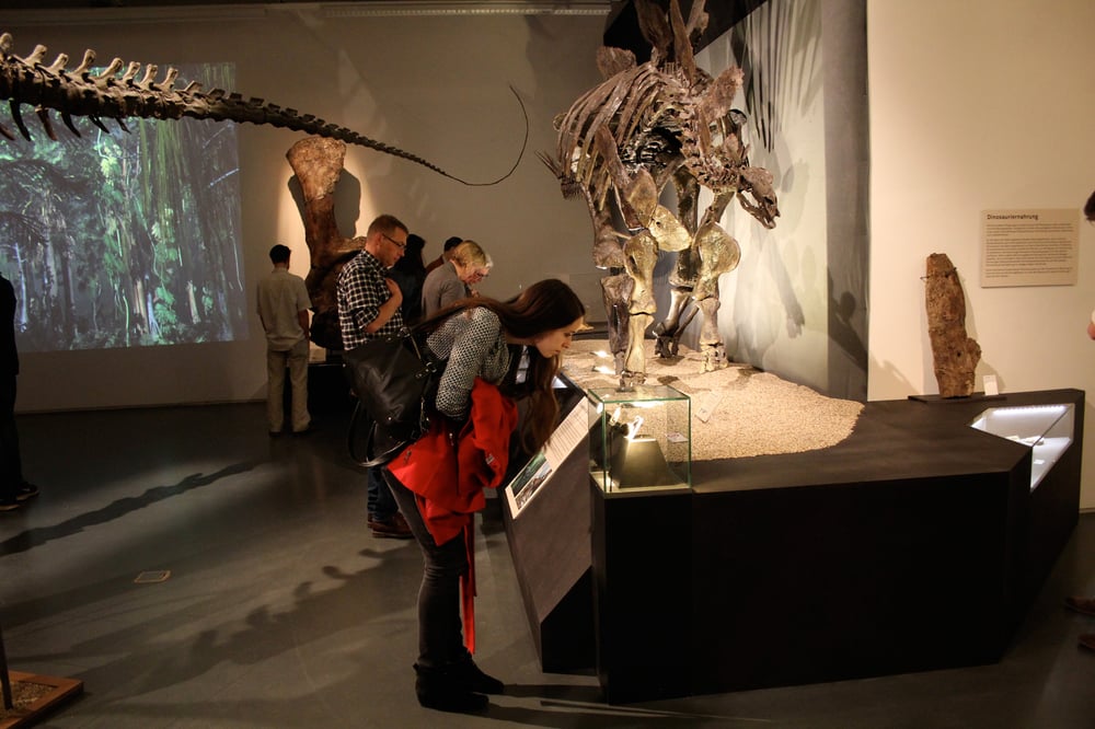 Jurassic–Harz-apriorid-design