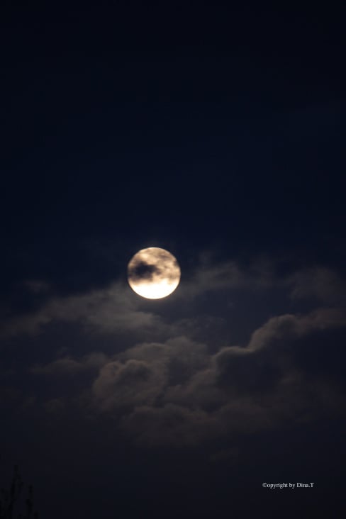 Moon Mai 2014 © by Dina.T