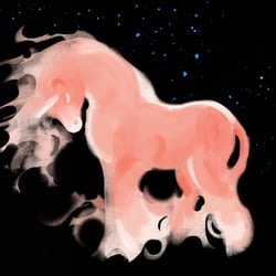 Pink Pony