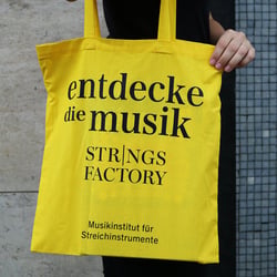 CI für die Strings Factory | Musikinstitut für Streichinstrumente