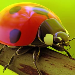 Der Natur auf der Spur