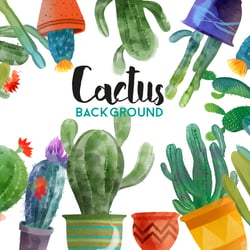 Cactus background
