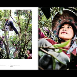 Slanted-Publishers-Tea-Trip 10