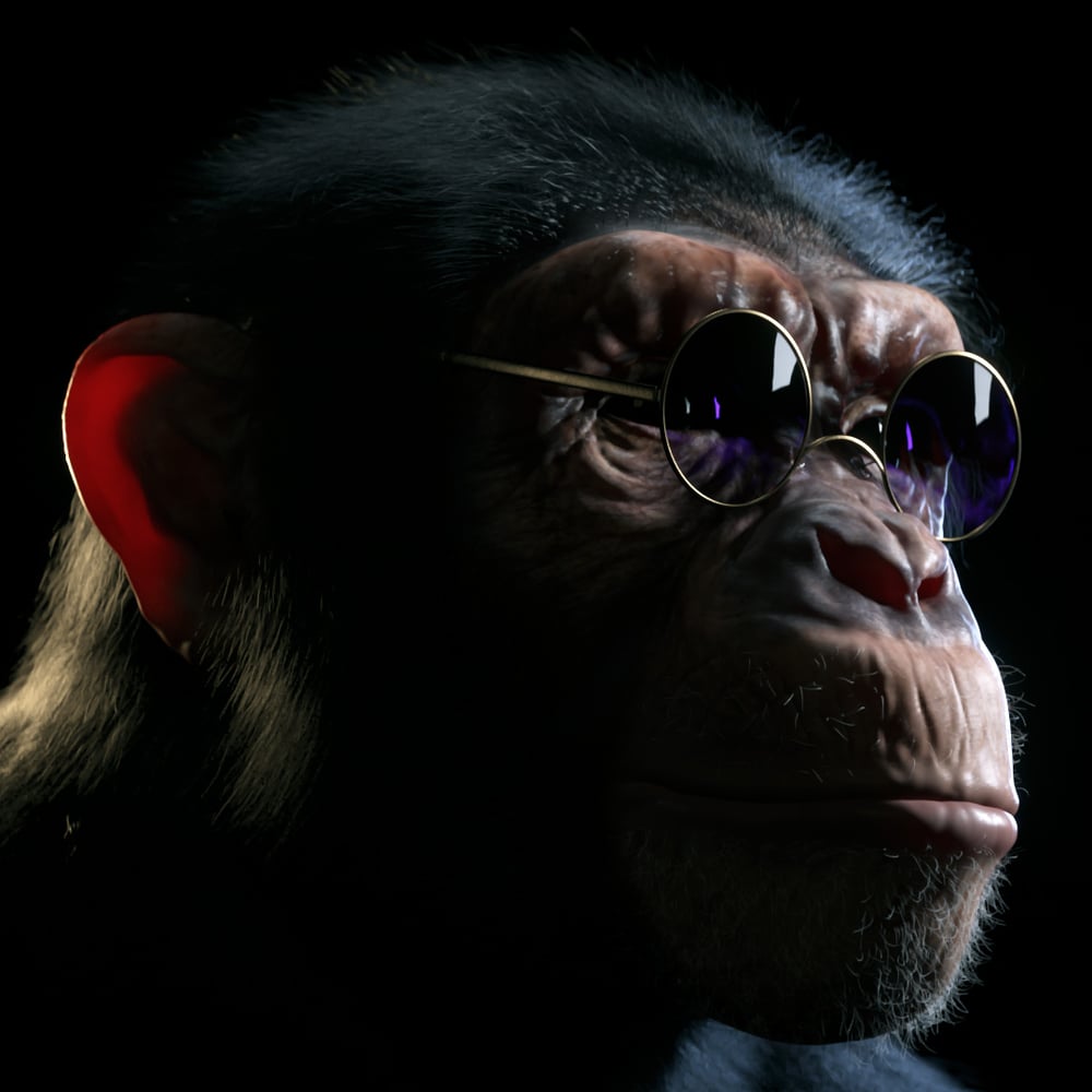 Cool Chimp