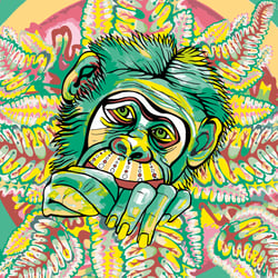 Monkeyhead 3, fineartprint 30 × 30 cm (variable)
