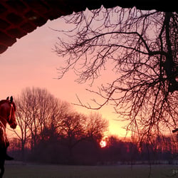 der Sonnenuntergang