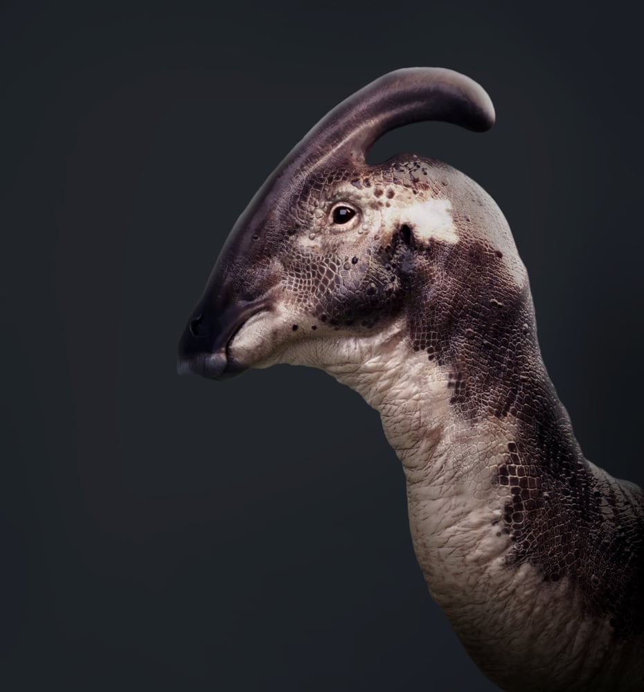 Parasaurolophus