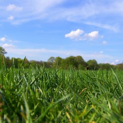 Sonnentag