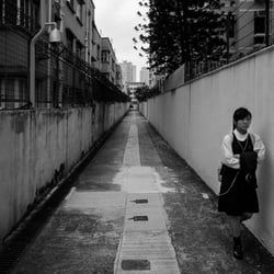 IMG 8868