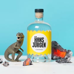 Hans Jürgen