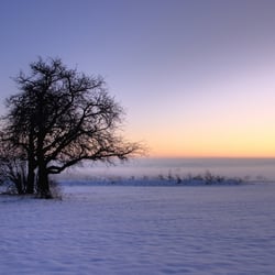 Abendliche Winterstimmung